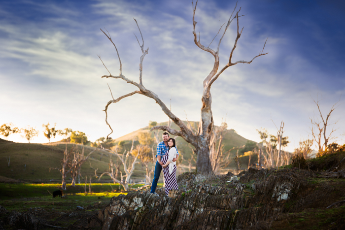 Country Setting Maternity Photography - large tree, sunset, blue sky Tamworth NSW