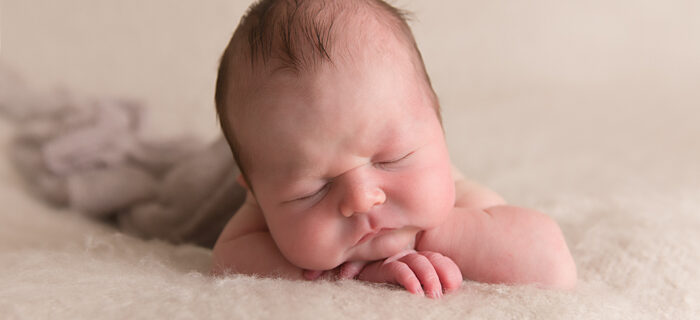 Tamworth Newborn Baby